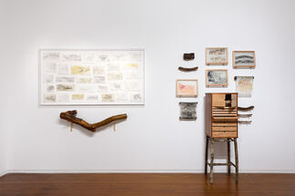 One Hundred and One Insect Life Stories, installation view