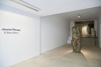 El "Bosc Blanc" by Jaume Plensa, installation view
