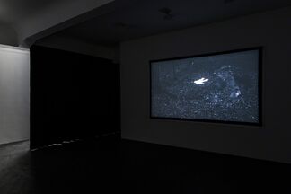 Zlatko Kopljar: From K series, installation view