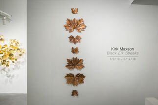 Kirk Maxson, Black Elk Speaks, installation view