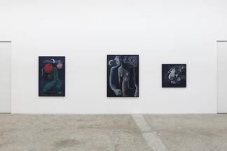 «closer to the moon», installation view