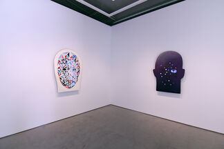 Tony Oursler, installation view