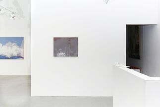 Florascape, installation view
