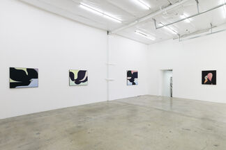 Anthony Miler: Witness, installation view