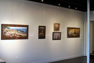 The Wild Backroads, installation view