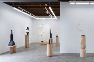 Se Yoon Park: Of Earth and Sky, installation view