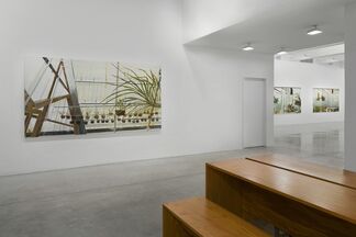 Carla Klein, installation view