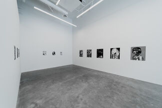 Among the Multitude, installation view