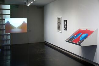 We Will Control the Vertical, installation view