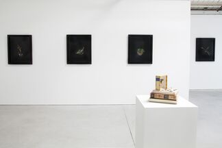 Order & Nature, installation view