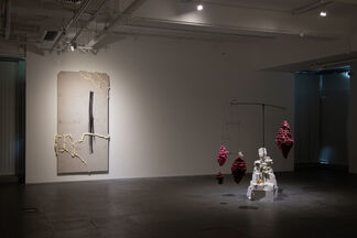 Shifting Landscapes, installation view