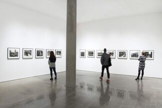 In Flagrante Two, installation view