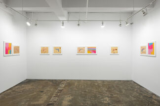 Every 16 Hours, installation view
