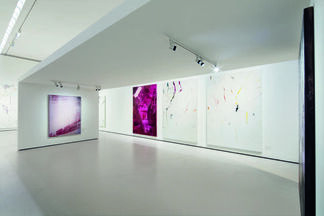 Hubert Scheibl - Fly, installation view