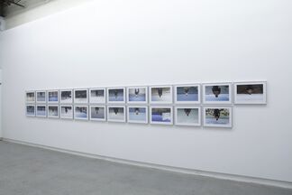 Free And Easy Wanderer, installation view