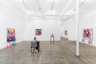 Lady Parts, installation view