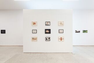 Alosúgbe: a journey across time, installation view