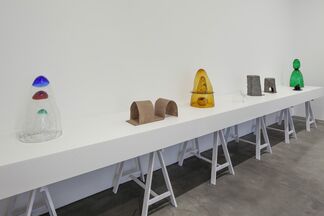 Tristano Di Robilant, installation view