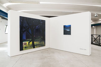 Project Room, installation view