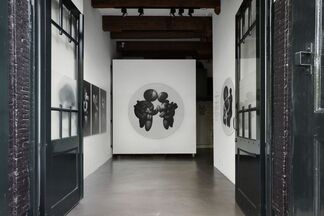 Mike Lee, installation view