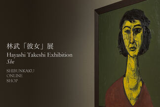 Hayashi Takeshi Exhibition: She, installation view