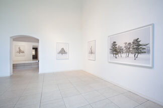 Springer at Photo London 2020, installation view