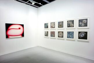 Fergus McCaffrey at Art Basel in Hong Kong 2016, installation view