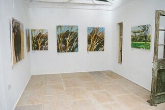 Earth and Sky: Paintings and Drawings by Timothy Brooke, installation view
