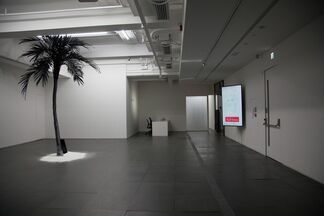 Diary of a Pioneer, installation view