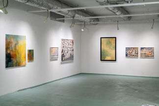 Collapse of a Mass, installation view