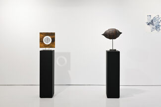 Étienne Krähenbühl: Notre Terre / Our Earth, installation view
