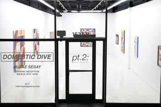 Domestic Dive, installation view