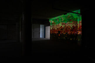 Afterimage: Frank Lepkowski Solo Exhibition, installation view
