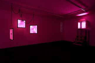 Wang Xin - Every Artist Should Have A Solo Show, installation view