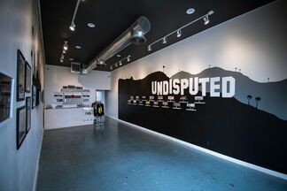 Ewkuks presents Colors In LA: Undisputed, installation view