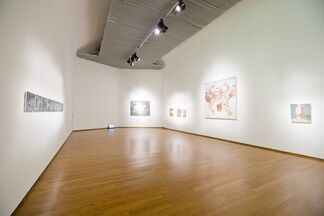 Jing Shen - The act of painting in contemporary China, installation view