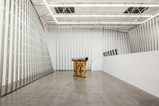 Allyson Vieira: The Plural Present, installation view
