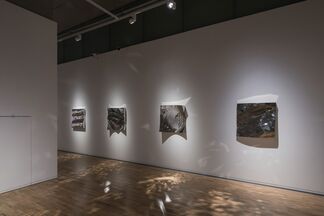 Mesh State - Zhoujie Zhang Solo Show, installation view