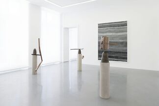 Bharti Kher - The Laws of Reversed Effort, installation view
