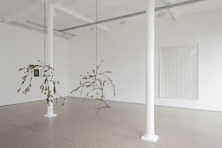 Edith Dekyndt - Strange Fruits, installation view
