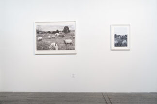 Cloned, installation view