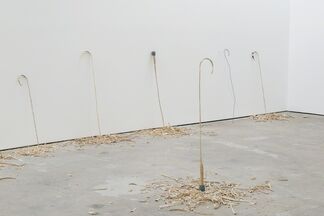 David Adamo - Untitled (Music for Strings), installation view