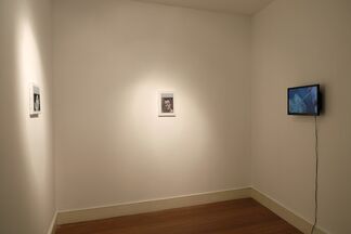 The Death of the Artist, installation view