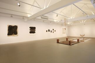 Zai Kuning, installation view