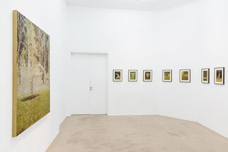 Stefan Kürten "Featured works: Through the mirror", installation view