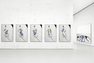 Michael Riedel, installation view