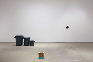 Fences and Windows, installation view