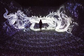 teamLab: Living Digital Forest and Future Park, installation view
