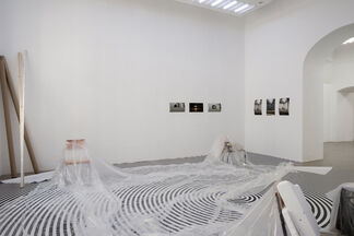 Milica Tomic, installation view