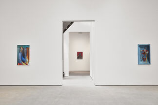 Julien Nguyen, Ex Forti Dulcedo, installation view